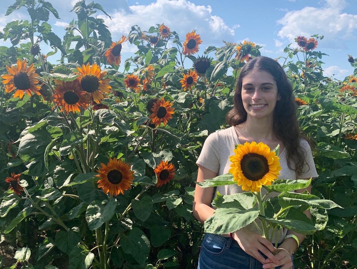 TourismBarrieRoundsRanchSunflower Woman with sunflower