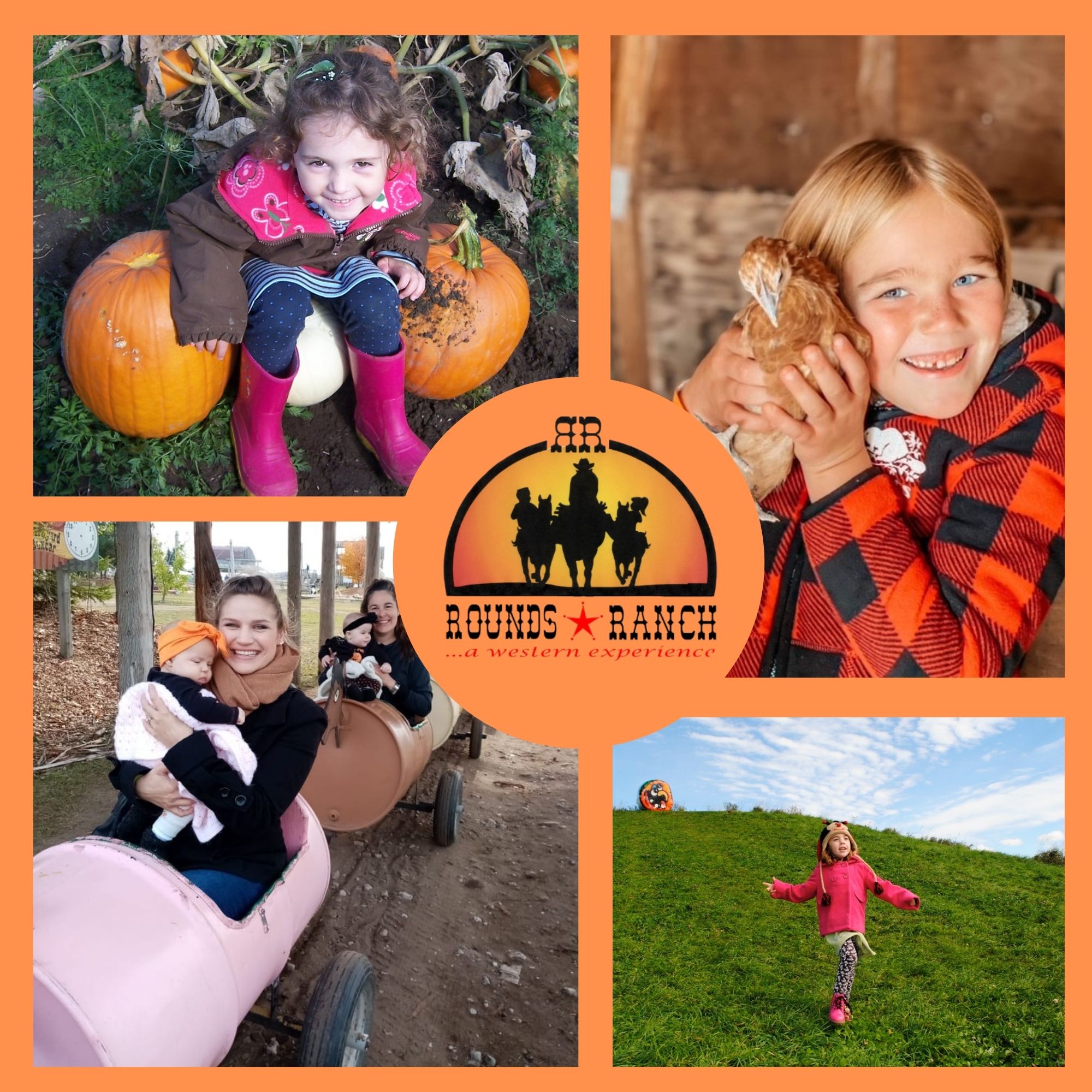 Pumpkin Mania @ Rounds Ranch Pumpkin Mania @ Rounds Ranch