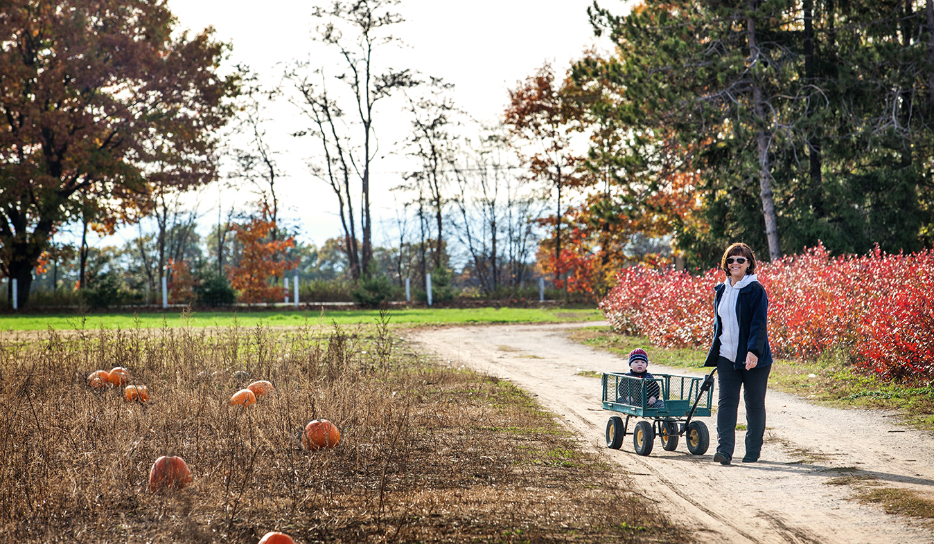 6 Ways to Make the Most of Your Fall in Barrie(blogcover2)