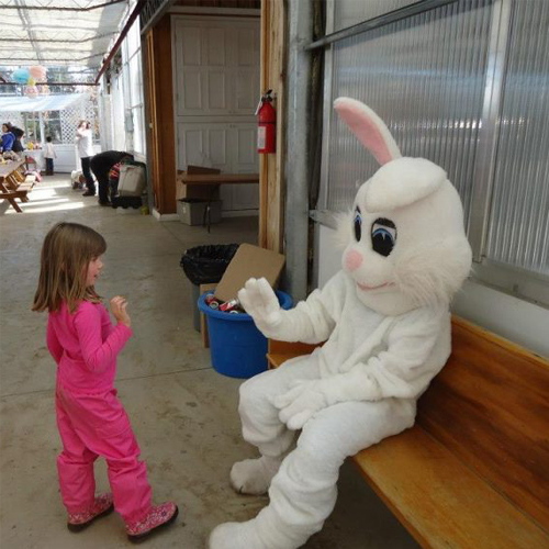 DrysdalesEasterEggHunt