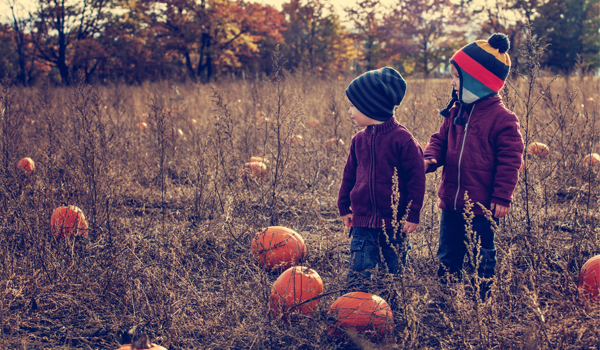 two boys in pumpkin patch
