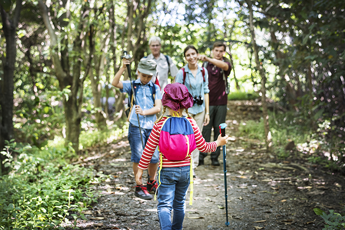 family-hiking-in-the-forest-FHKP8J7 family hiking