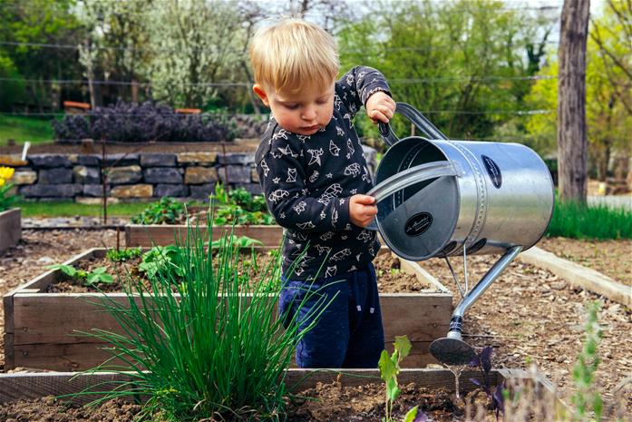 child watering plants outside