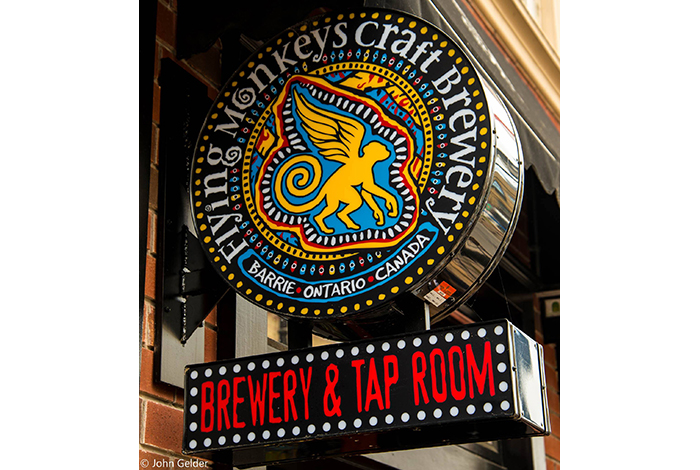flying-monkey-2 flying monkey logo