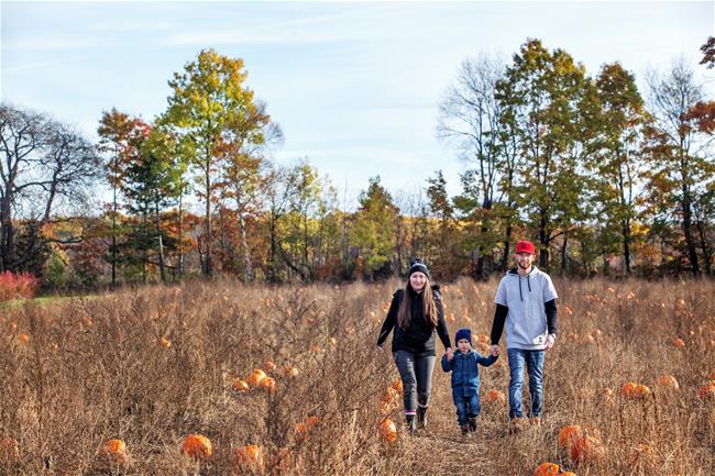 mother, father and son walking through pumpkin field