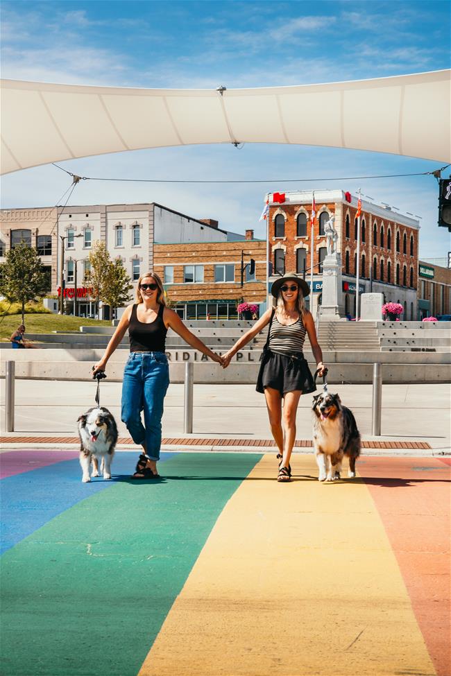 2 women with dogs holding hands walking across rainbow street crosswalk