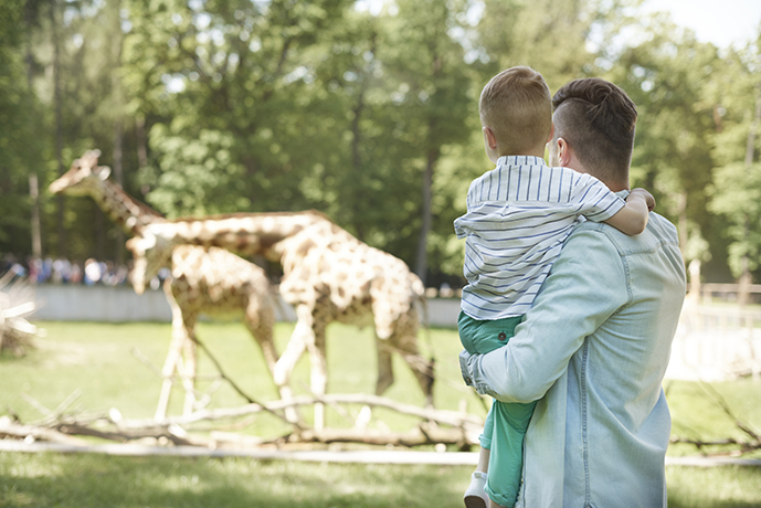 looking-on-family-of-giraffes-at-the-zoo-3N96GRK dad and son looking at giraffes