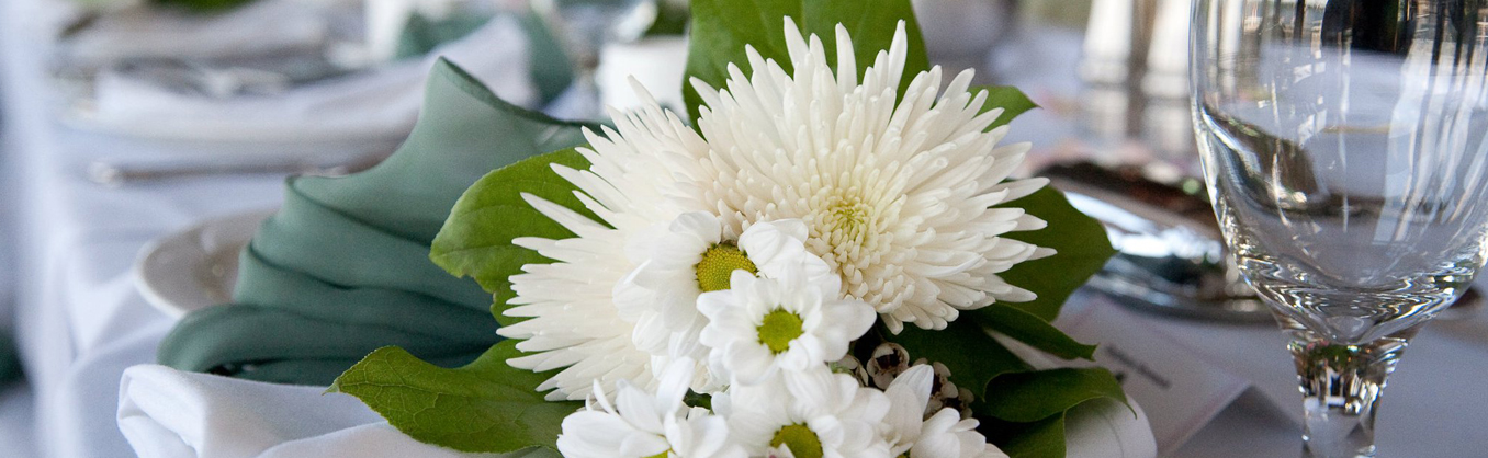 Decorations And Rentals Barrie