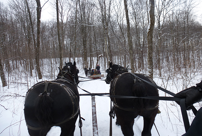 Sleigh Ride