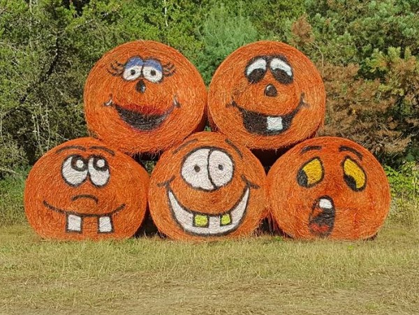 Haunted Harvest Village @ Drysdale Tree Farm Haunted Harvest Village @ Drysdale Tree Farm