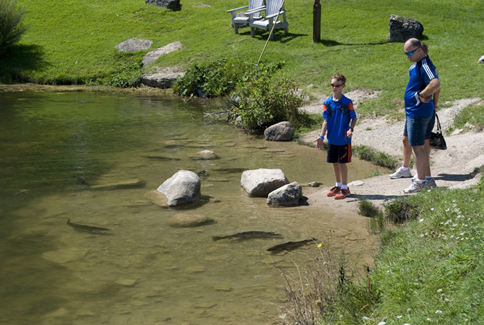 trout-pond-1000-w