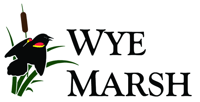 Wye Marsh Logo Wye Marsh Logo