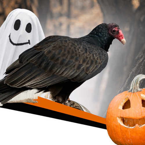 WyeMarshHalloween
