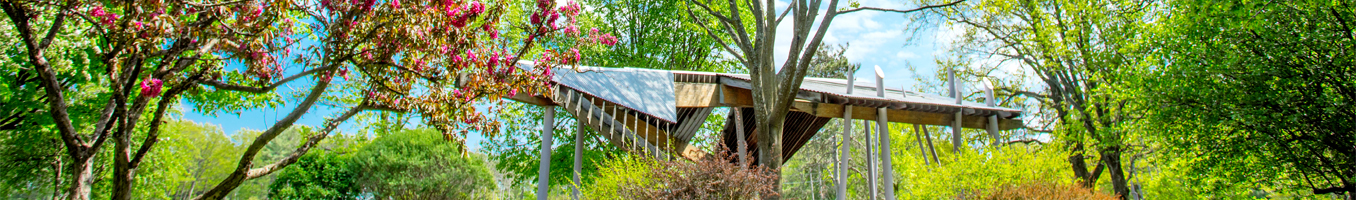 SpringBanner_1356x200 SpringBanner_1356x200