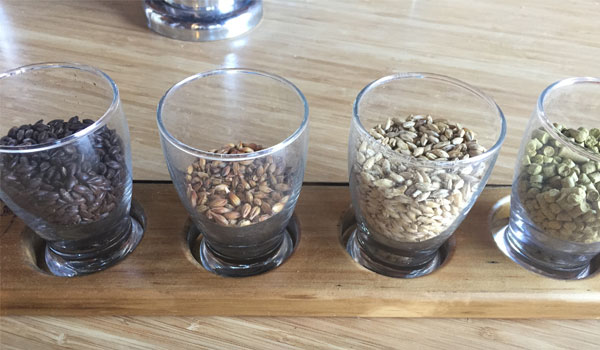 Brewery & Winery Tours