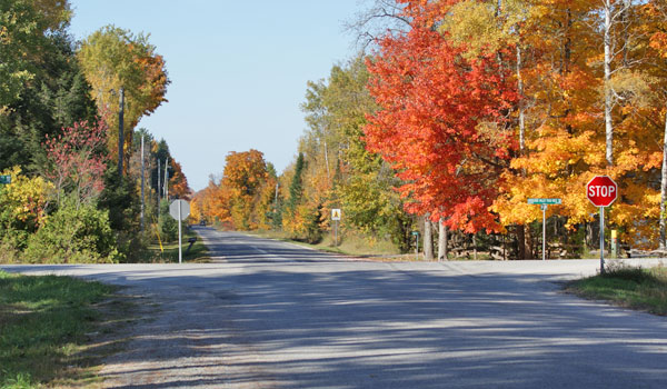 Driving Tours in Barrie & Area