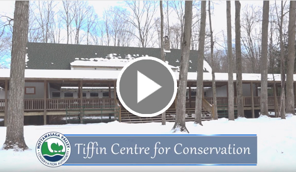 Tiffin Centre for Conservation