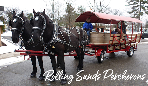 RollingSands_Logo20