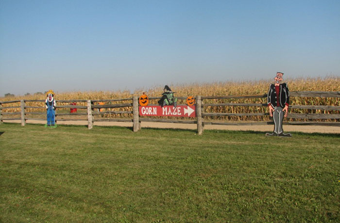 Chappell Farms Corn Maze