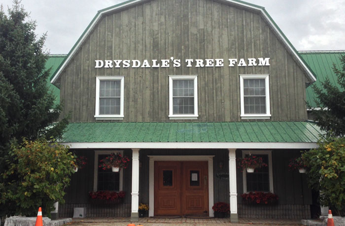 Drysdale's Tree Farm