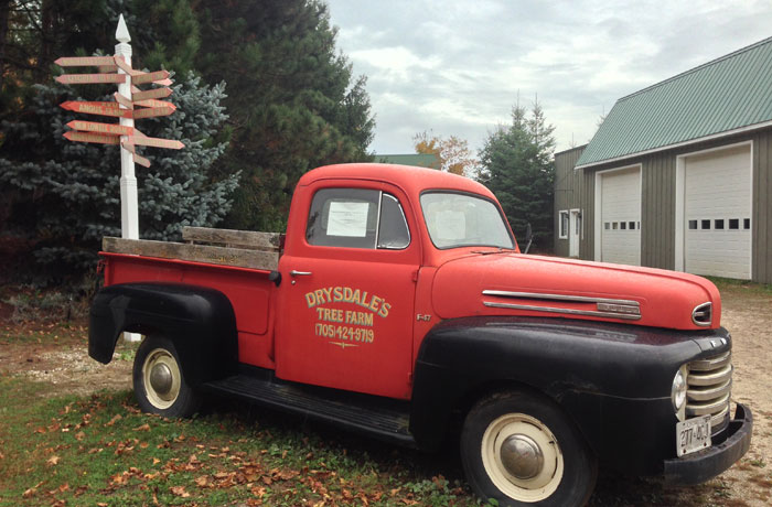 Drysdale's Tree Farm 