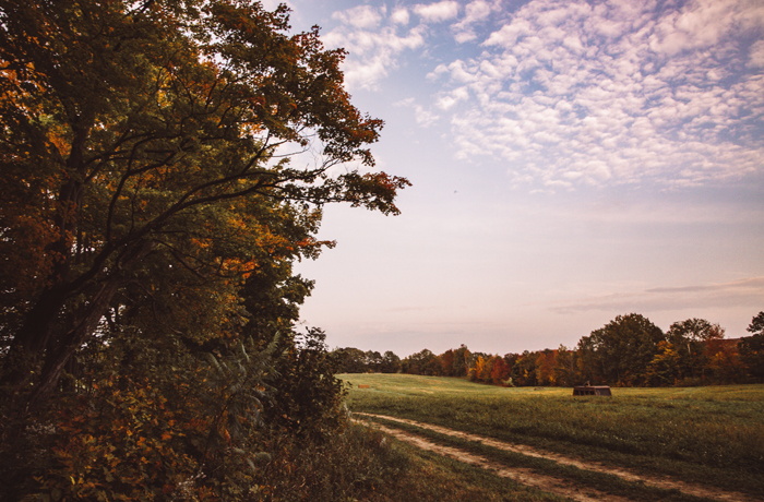 Scenic image of Glen Oro farms sunset