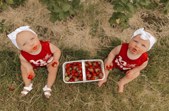 BarrieHillfarms_Strawberry