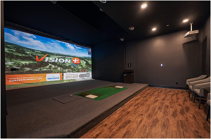 Linx Indoor Golf Simulator