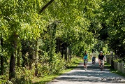 IMG_3707