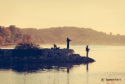 IMG_5331-copy