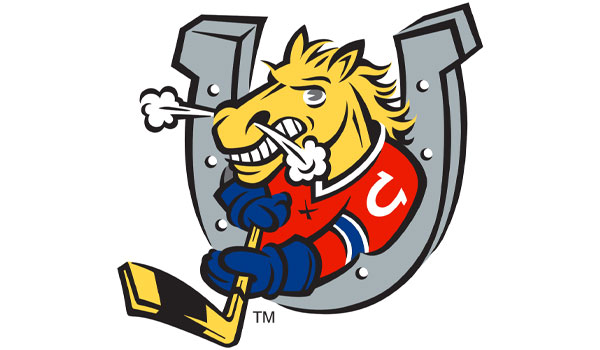 barrie-colts-ohl