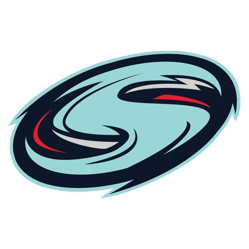 south simcoe storm logo