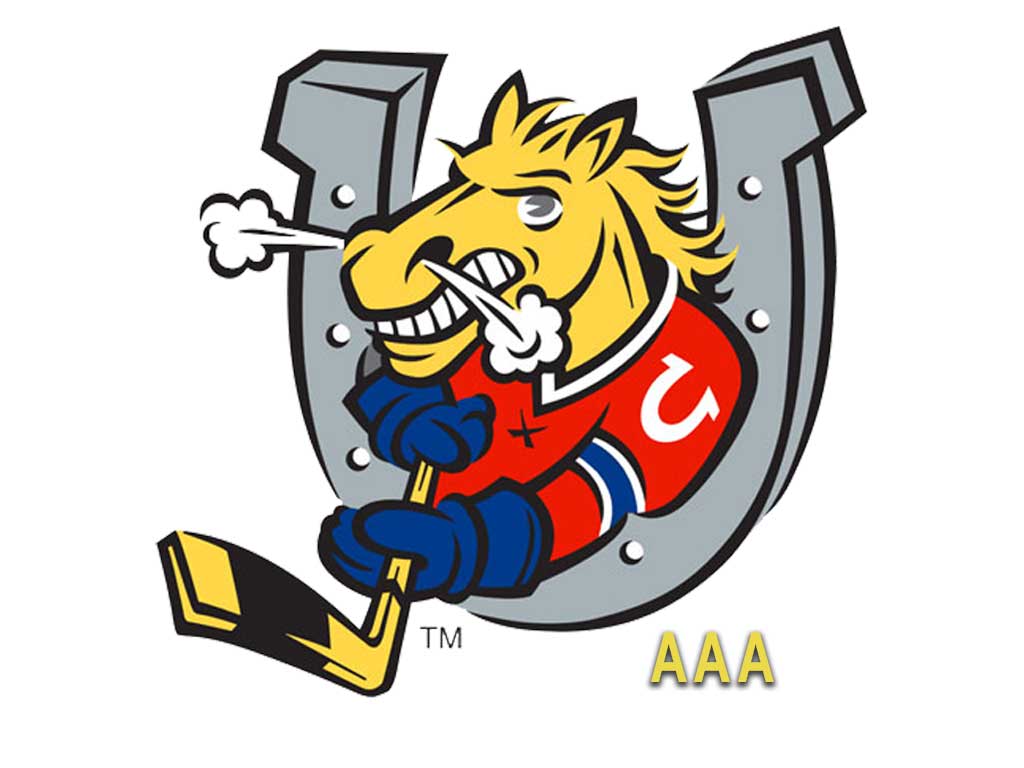A logo for the BMHA AAA Zone team