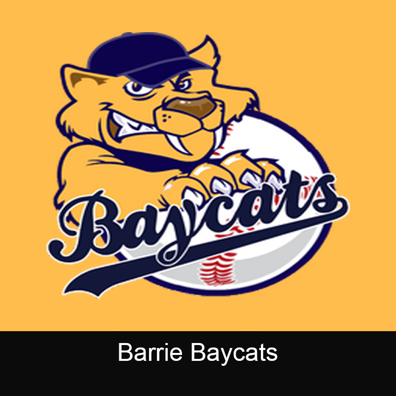 Website Sport Team Link- Baycats- Site